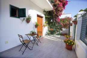 B&B e Case Vacanza - La Rosa dei Venti